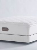 Signature Plush Mattress