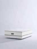 Signature Mattress