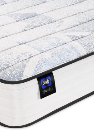 Sealy® Essential Collection Bryer Tight Top Luxury Firm Queen Mattress | Matelas luxueux ferme à plateau régulier Bryer de la collection Essential de Sealy pour grand lit