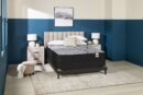 Springwall Red Cedar Tight Top Luxury Firm Queen Mattress-in-a-Box | Matelas luxueux ferme à plateau régulier dans une boîte Red Cedar de Springwall pour grand lit