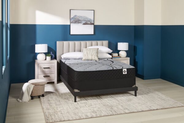 Springwall Red Cedar Tight Top Luxury Firm Queen Mattress-in-a-Box | Matelas luxueux ferme à plateau régulier dans une boîte Red Cedar de Springwall pour grand lit - Image 5