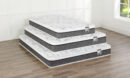 Springwall Moonlight Eurotop Plush Queen Mattress | Matelas moelleux à Euro-plateau Moonlight de Springwall pour grand lit