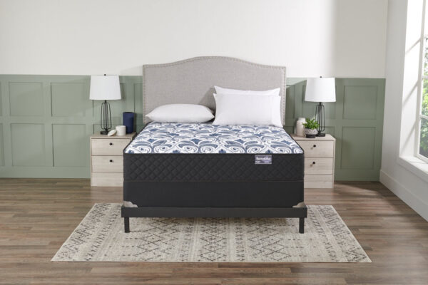 Springwall Barcelona Tight Top Luxury Firm Queen Mattress | Matelas luxueux ferme à plateau régulier Barcelona de Springwall pour grand lit - Image 5