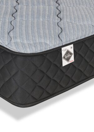 Springwall Red Cedar Tight Top Luxury Firm Queen Mattress-in-a-Box | Matelas luxueux ferme à plateau régulier dans une boîte Red Cedar de Springwall pour grand lit