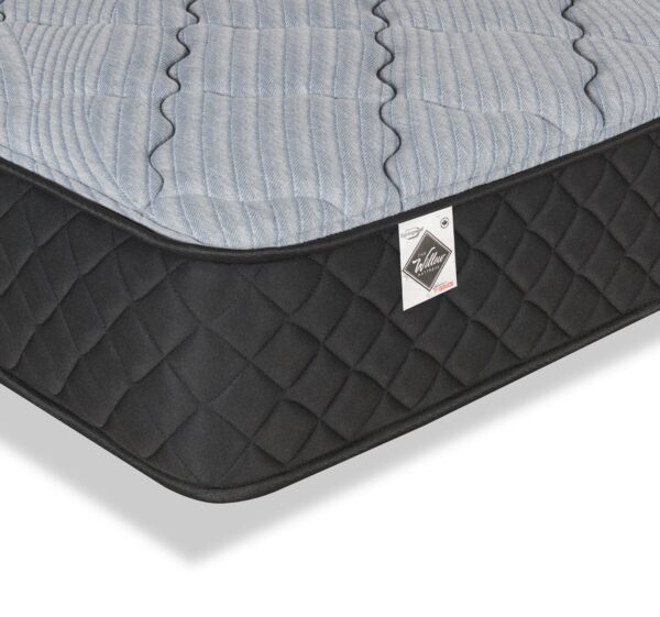 Springwall Red Cedar Tight Top Luxury Firm Queen Mattress-in-a-Box | Matelas luxueux ferme à plateau régulier dans une boîte Red Cedar de Springwall pour grand lit