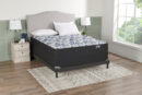 Springwall Barcelona Tight Top Luxury Firm Queen Mattress | Matelas luxueux ferme à plateau régulier Barcelona de Springwall pour grand lit