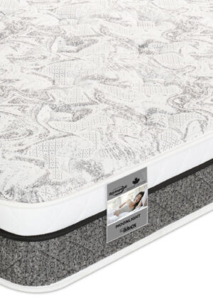 Springwall Moonlight Eurotop Plush Queen Mattress | Matelas moelleux à Euro-plateau Moonlight de Springwall pour grand lit