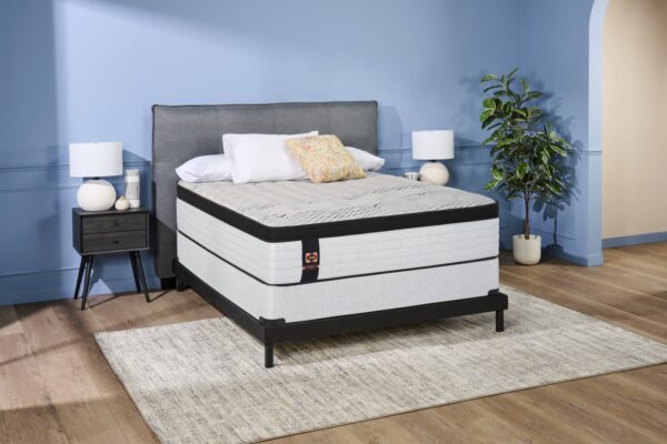 Sealy Posturepedic® Plus 1000 Series Bronson Eurotop Luxury Firm Queen Mattress | Matelas luxueux ferme à Euro-plateau Bronson PosturepedicMD Plus de série 1000 de Sealy pour grand lit | BRONSNQM - Image 9
