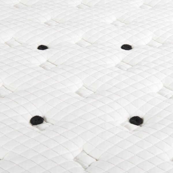 Scott Living Aviemore Tight Top Plush Queen Mattress | Matelas moelleux à plateau régulier Aviemore de Scott Living pour grand lit - Image 6