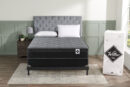 Springwall Aspen Eurotop Queen Mattress-in-a-Box  | Matelas à Euro-plateau dans une boîte Aspen de Springwall pour grand lit  | ASPENFQM