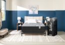 Springwall White Birch Tight Top Firm RV Mattress-in-a-Box | Matelas ferme à plateau régulier dans une boîte White Birch de Springwall pour véhicule récréatif